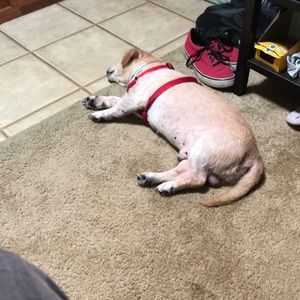 Meet your Posher, Rose marie